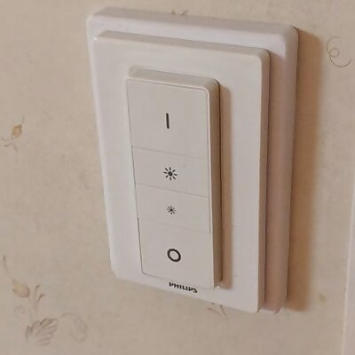 Hue light switch mount