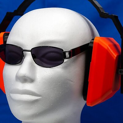 Working From Home  Ear Defenders