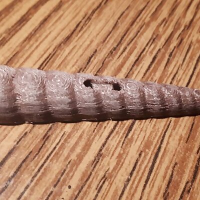Button Long Snail Shell Parametric 5cm