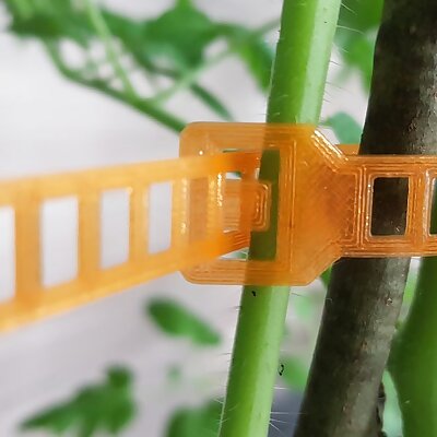 Plant support strap for PLA