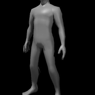Base Rigged Bodies and Meshes