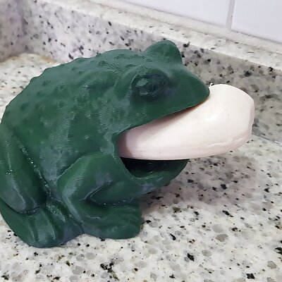 Toad soap holder