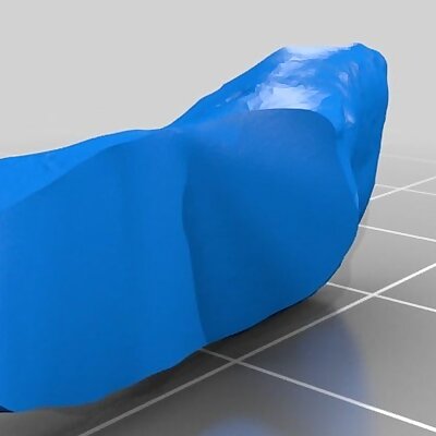 3D scan of a foot