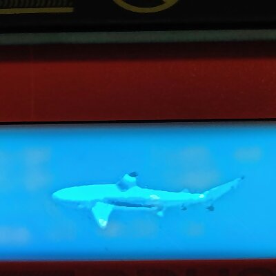 Shark lithophane screen cover