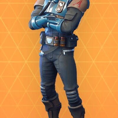 Fortnite Visitor Armour