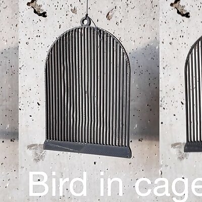 Bird in cage Optical illusion