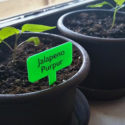 Plant label