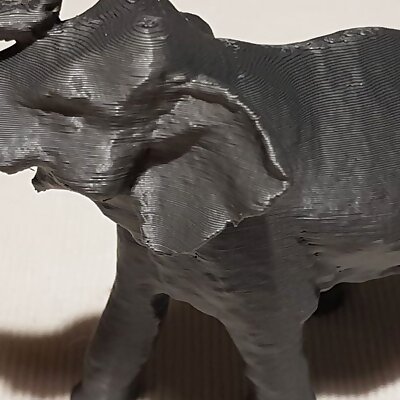 Elephant model 3D scan