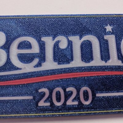 Bernie 2020 Pin