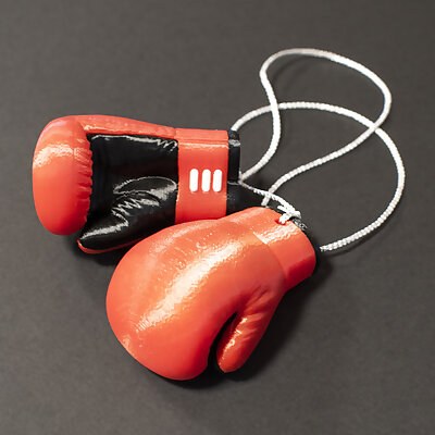 MultiColor Boxing Gloves