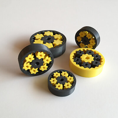 2 Color Gear Bearing Dual Extrusion