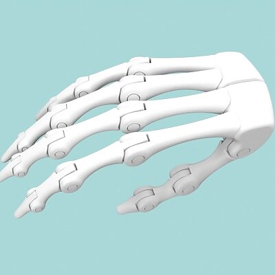Biomimetic Hand Endoskeleton