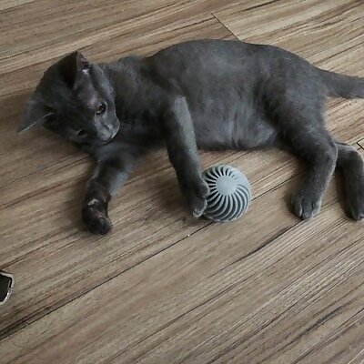 Cat toy ball