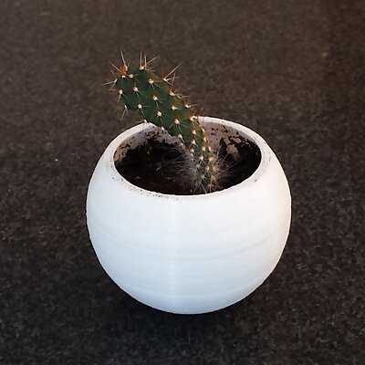 Spherical Plant Pot
