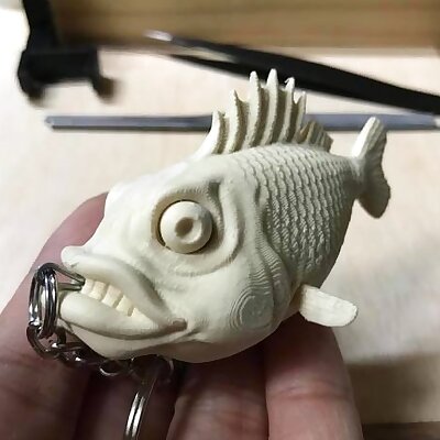 Fish  Keychain Version