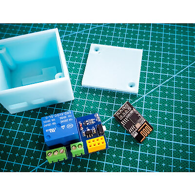 Box for relay unit ESP01s