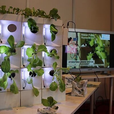 Hydroponic House System
