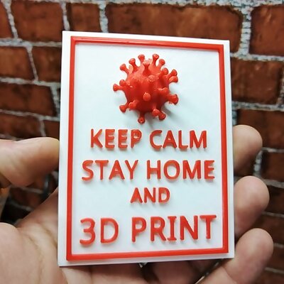 STAY HOME AND 3D PRINT