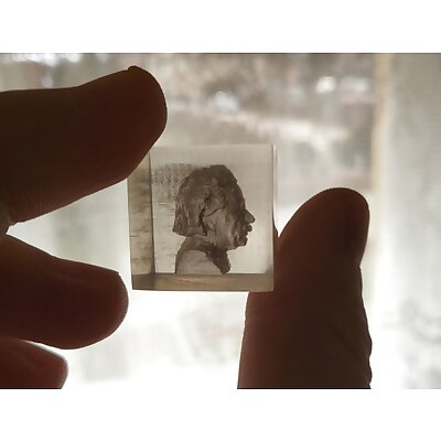 Embedded Albert Einstein Bust  Transparent 3D Print