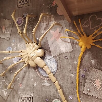 Facehugger all separated parts