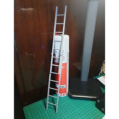 110 22 Extension Ladder