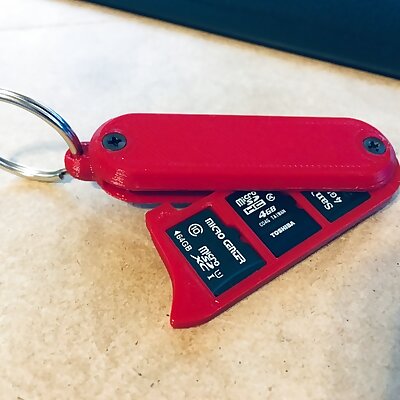 Micro SD Card Keychain Holder