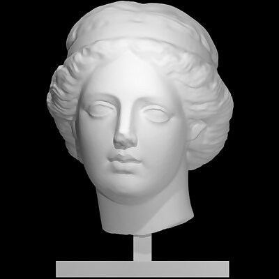 Head of a woman whose hair is restrained by a headband Goddess