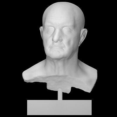 Bust of a Roman man