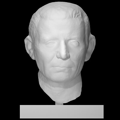 Portrait of a Roman