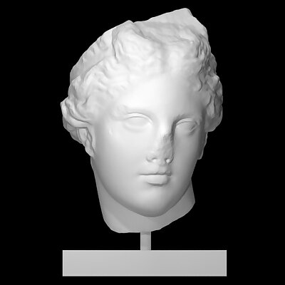 Head of a statue of Aphrodite