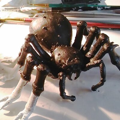 Jba Fofi Giant Spiders of the African Congo