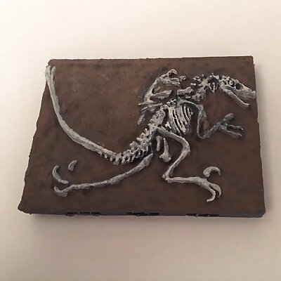 Velociraptor Miniature Fossil with Openlock