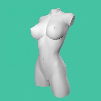 Woman torso nude