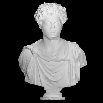 Bust of Marcus Aurelius Young