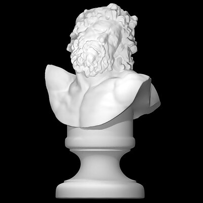 Bust of Laocoon