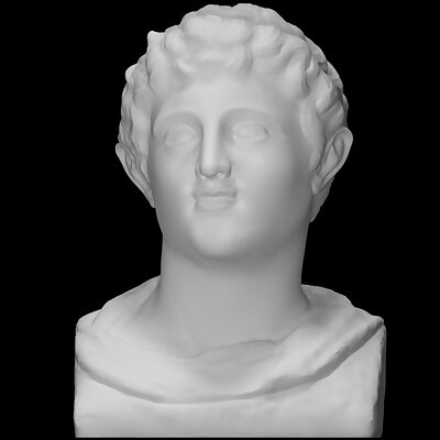 Bust of Poliorketes