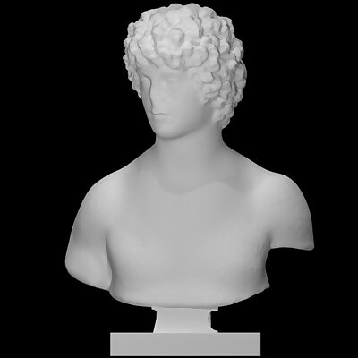 Bust of a Young Man