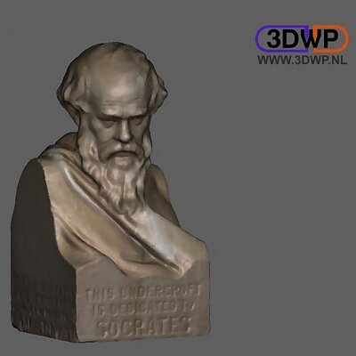 Socrates Bust