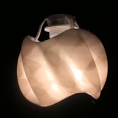 Twisted CosSin Lamp Shade