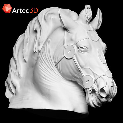 Horse Head from the Equestrian statue of Marcus Aurelius