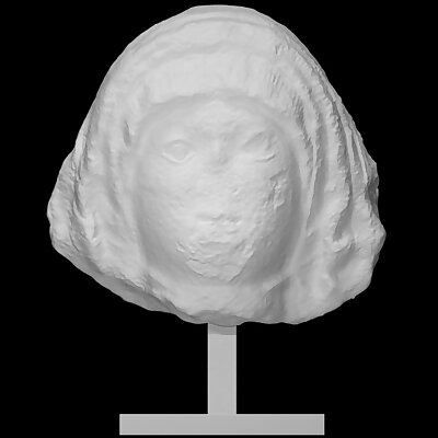 Head of a woman from the tombstone