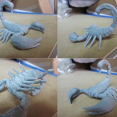 Scorpion 3D Print Model