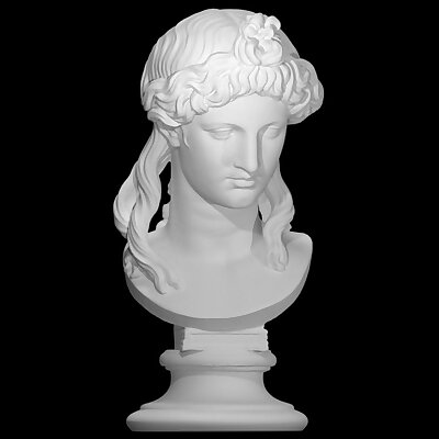 Head of a Woman or Apollo