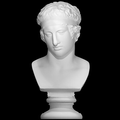 Bust of The Diadumenos type