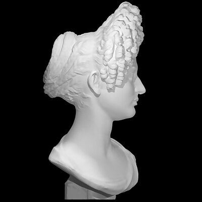 Portrait Bust of a Flavian Woman The Fonseca Bust