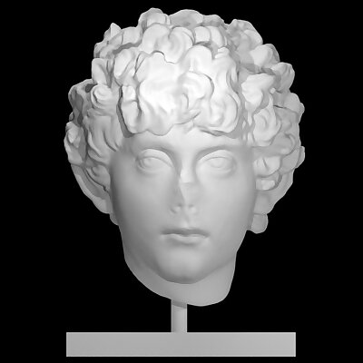 Head of a Roman youth