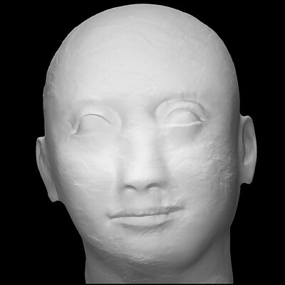 Sandstone head of a Man