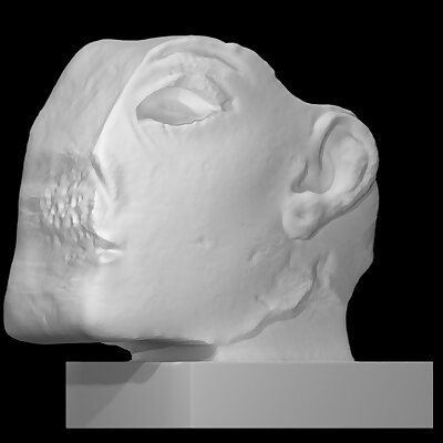 Brown Quartzite inlay head of Akhenaten or Nefertiti