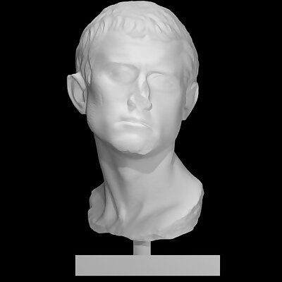 Unknown Bust