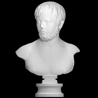 A Bust of a Young Man
